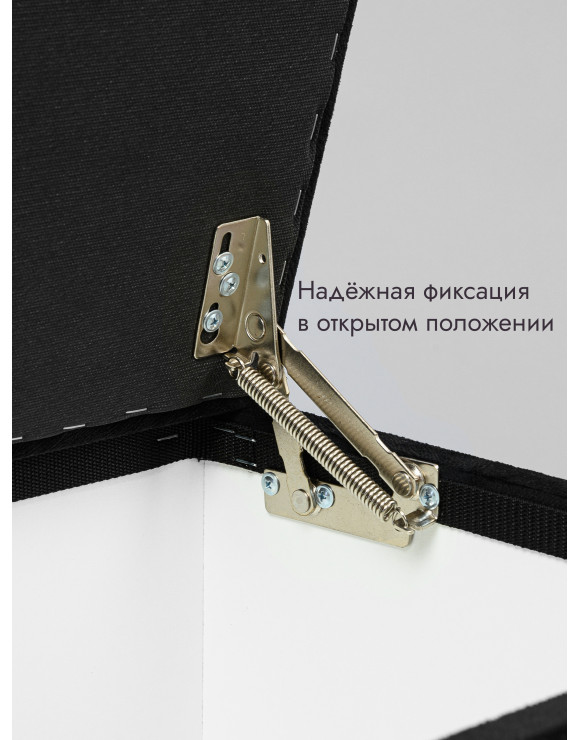Пуфик Ричмонд-119 (черный)